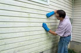 Affordable Siding Repair and Maintenance Services in Moville, IA